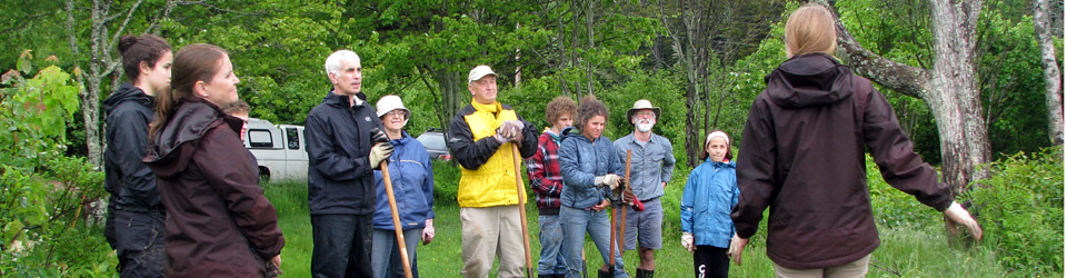 Tree planting, Conservation Volunteers event, Johnson's Mills (Photo by NCC)