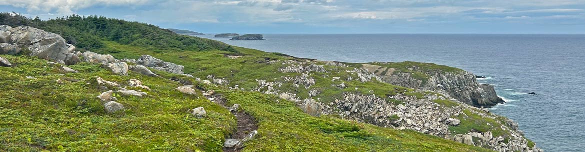 Maberly to Little Catalina Trail, Elliston, Newfoundland and Labrador (Photo by The Stewardship Association of Municipalities Inc.) 
