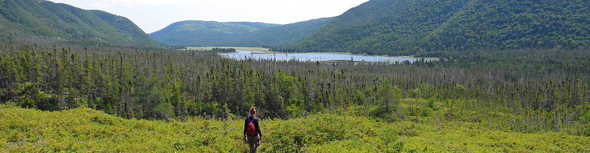 Hiking into Grassy Place, NL (Photo by NCC)