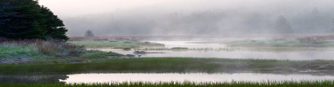 Salmonier Nature Reserve, NL (Photo by Mike Dembeck)