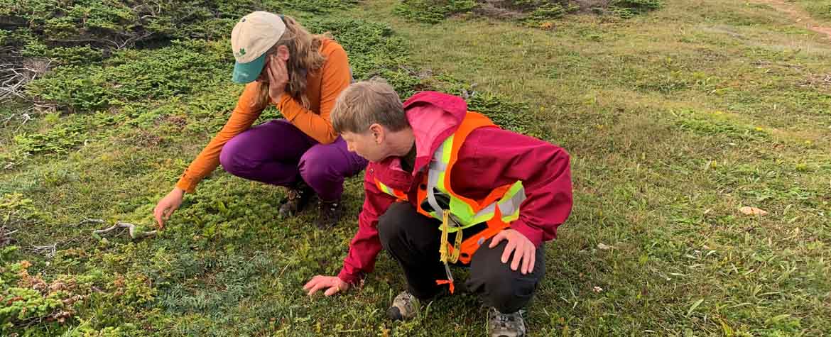 NL Staff Investigating Limestone Barrens (Photo by NCC)