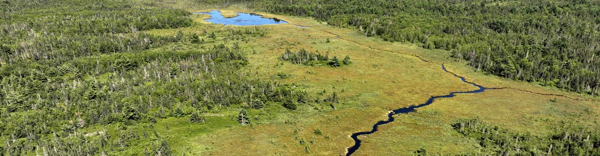 Haley Lake Nature Reserve, Kespukwitk, Southwest Nova Scotia (Photo by Mike Dembeck)