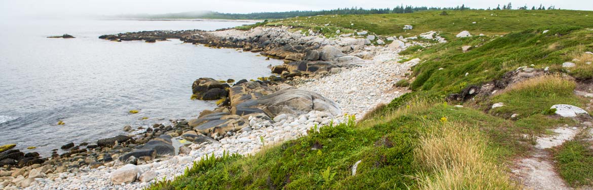 Dr. Bill Freedman Nature Reserve, NS (Photo by: Andrew Herygers/ NCC staff)
