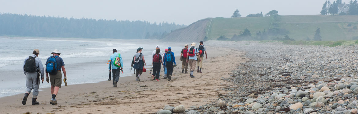 Trailblazer volunteers at Gaff Point Nature Reserve (Photo by Andrew Herygers/NCC staff)