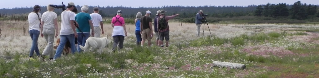 Group enjoys bird watching at NCC protected area on Brier Island, NS (Photo by NCC)