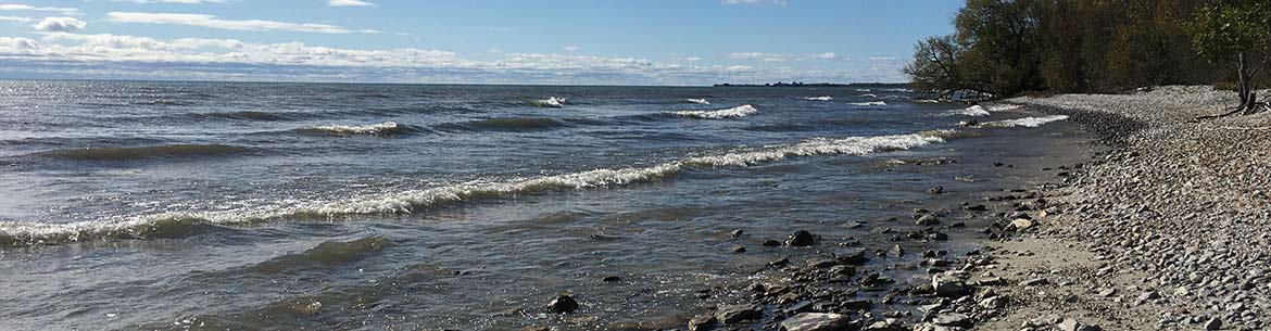 MapleCross Shoreline Reserve, Eastern Lake Ontario Coast, ON (Photo by NCC)