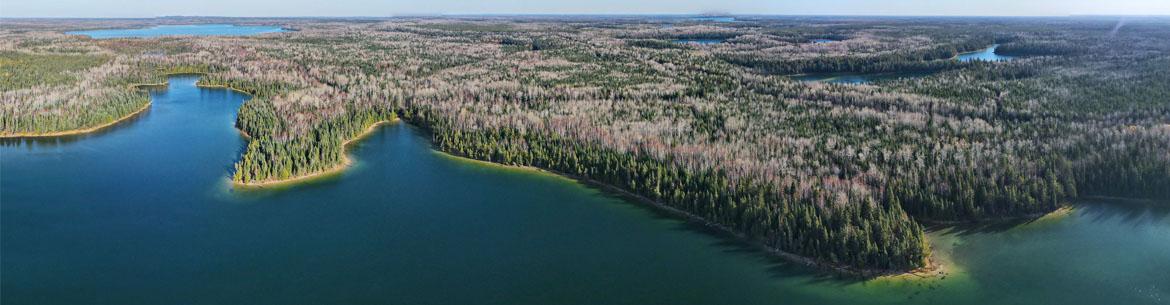 Boreal Wildlands, ON (Photo by NCC)
