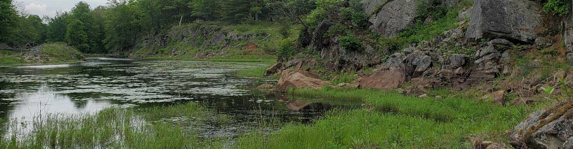 Ruisseau Mississagua, arche de Frontenac, Ont. (Photo de CNC)