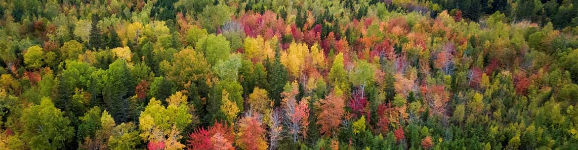 The fall colours of Abram-Village (Photo by Sean Landsman)