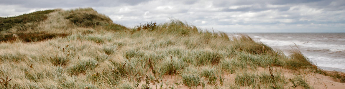 The dunes at St. Peters Lake Run Nature Reserve (Photo by Jenna Rachelle)