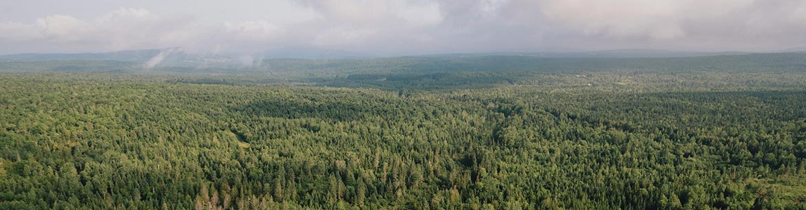 Protected lands in Ham-Sud and Ham-Nord in the Estrie region, QC