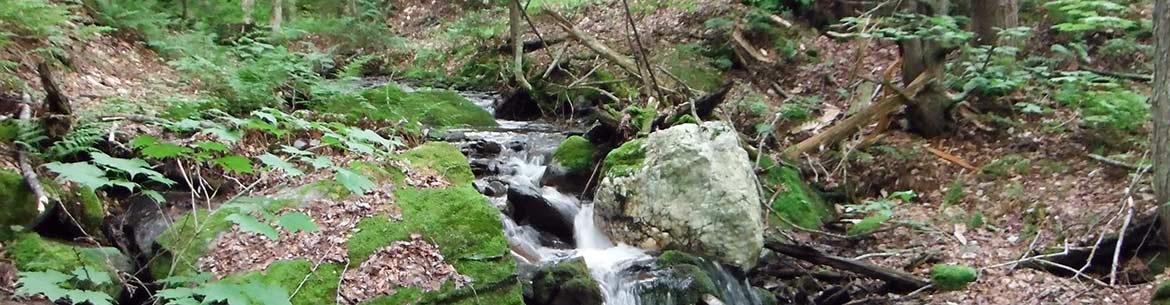 Milieu naturel des versants du mont Saint-Étienne (Photo de Corridor appalachien)