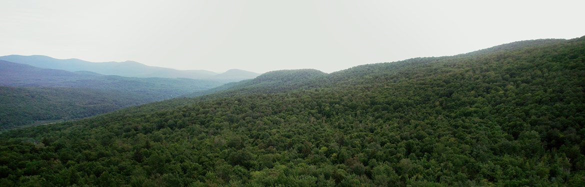 Réserve naturelle des Montagnes-Vertes, monts Sutton, QC (Photo de La Halte Studio)