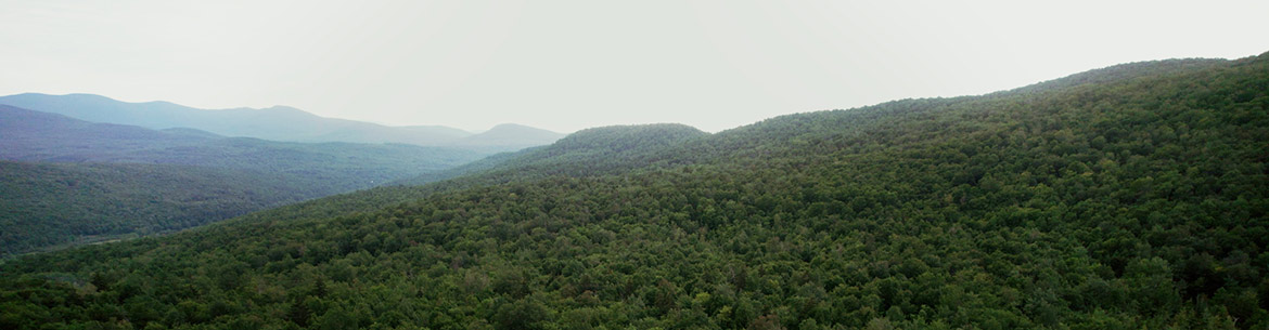 Réserve naturelles des Montagnes-Vertes, versant sud des monts Sutton, QC (Photo de La Halte Studio)