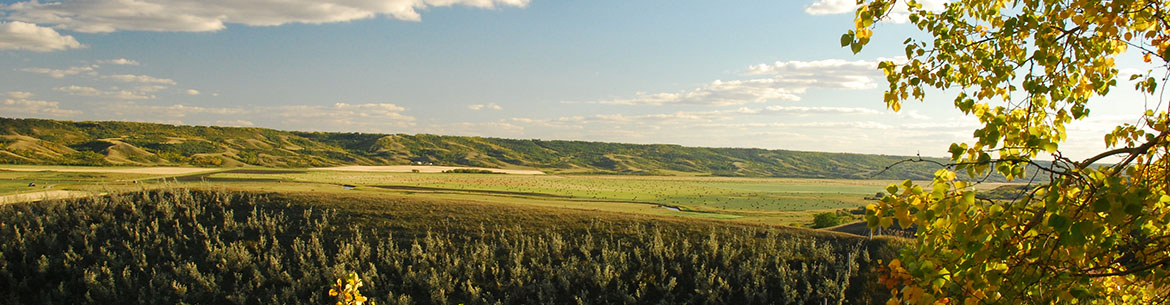Fairy Hill, SK (Photo by Cherie Westmoreland) 