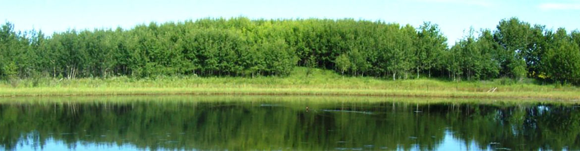 Ursulan Property, SK (Photo by NCC)