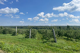Views from the orchard (Photo by NCC)