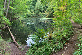 View of lower pond and adjacent embankment crest at Lathrop Nature Preserve, ON (Photo by Noel Boucher/ NCC)