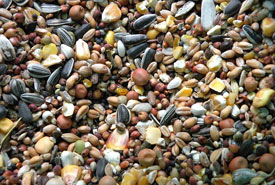 Bird seed mixture (Photo by Algont/Wikimedia Commons)