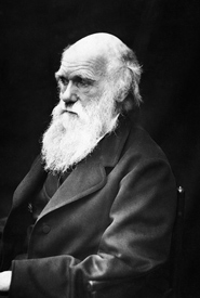 Charles Darwin (Photo from Wikimedia Commons)
