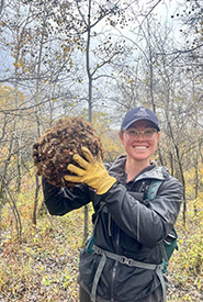 A big gall of burdock burrs that I pulled, clumped together, and then bagged. (Photo by Ayla Peacock/NCC)