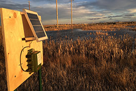 An acoustic recording unit captures amphibian sounds from dusk to dawn (Photo by Tyne Baker)