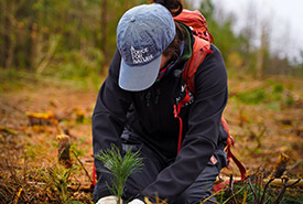 Ali Giroux, former conservation biology coordinator, planting native trees in an area where an invasive Scots pine plantation was removed, Hazel Bird Nature Reserve, ON (Photo by Chelsea Marcantonio/NCC staff)