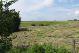 Human development on the hummocky moraine. (Photo by Beaver Hills Initiative)