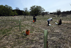 Conservation Volunteers planting trees at Minesing Wetlands, ON (Photo by Robert Britton)