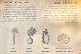 A wooden panel describing the importance of building soil carbon (Photo by NCC)