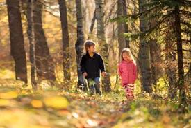 Children walking in the woods, Bunchberry Meadows Conservation Area, AB (Photo by Kyle Marquardt)