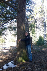 Hugging a tree (Photo by Dan Kraus/NCC staff)