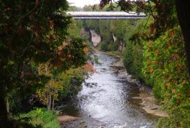 The Elora Gorge (Photo by Ken Lund/Wikimedia Commons) 