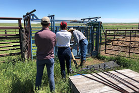 Excel pasture manager, Barney Brice, demonstrating livestock handling equipment during a tour of the pasture. (Photo Matthew Braun/NCC staff)