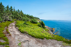 Gaff Point, NS (Photo by Andrew Herygers/NCC staff)