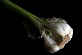 Garlic (Photo by cyclonebill/Wikimedia Commons)