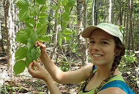 Me holding a beaked hazelnut (Photo by NCC)