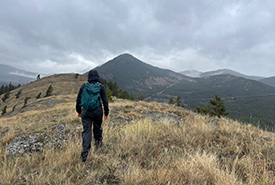 Hiking on the ridge to check on biocontrol releases (Photo by NCC)