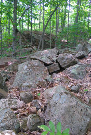 Rocky hills of the Frontenac Arch (Photo by NCC)