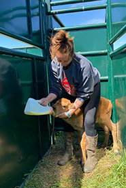 Kylie feeding Sunny the bison calf at OMB, SK (Photo by NCC)