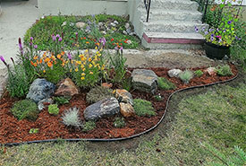 Lawn conversion to flower bed (Photo by Sarah Ludlow)