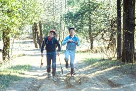 Mark and Steve at Newfane woodlot (Photo by Bill Wilson)