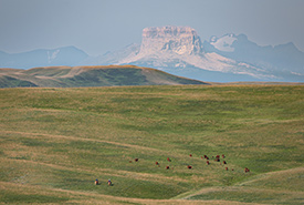 Ranch McIntyre, Alb. (Photo de Leta Pezderic/CNC)