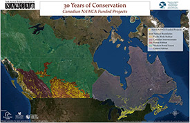 Locations of projects secured over the past 30 years of NAWCA grant implementation. (Map by North American Wetlands Conservation Council (Canada))