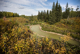 Beaver Hills, AB (Photo by Brent Calver)