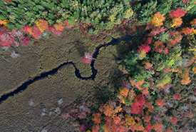 Upper Ohio, NS (Photo by Mike Dembeck)