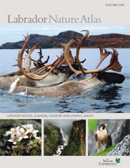 Labrador Nature Atlas, Volume 1 (Photo by NCC)