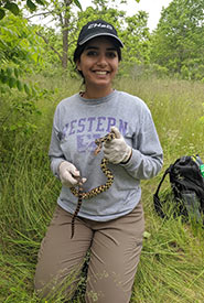 Noor with an eastern foxsnake awaiting to take the snake's measurements. (Photo by NCC)