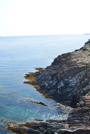 Nova Scotia's South Shore (Photo by Brianne Curry/NCC staff)