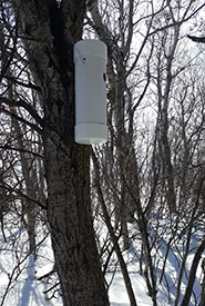 Location of nest tube #2 (Photo by Sarah Ludlow/NCC staff)